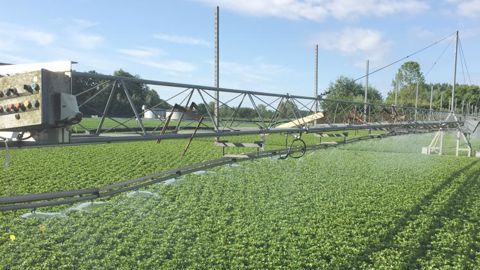 Les besoins en eau pour l’irrigation des cultures deviennent plus importants avec l’augmentation de la température et les épisodes de pics de chaleur de plus en plus fréquents. © Léna Hespel